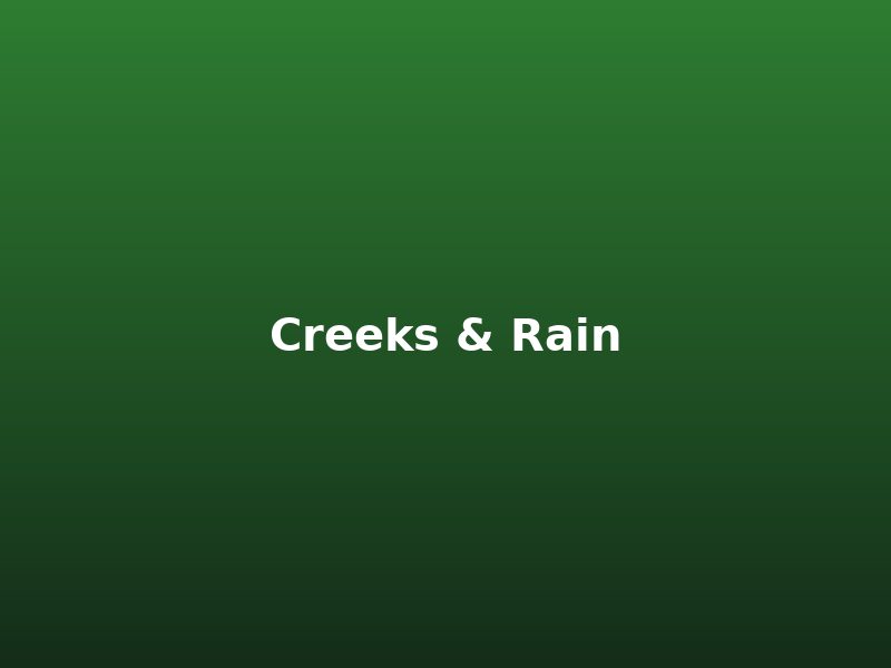 Creek Beds & Rain